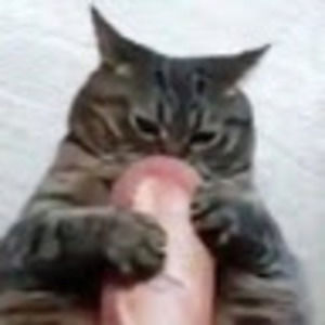 Meet your Posher, Sean